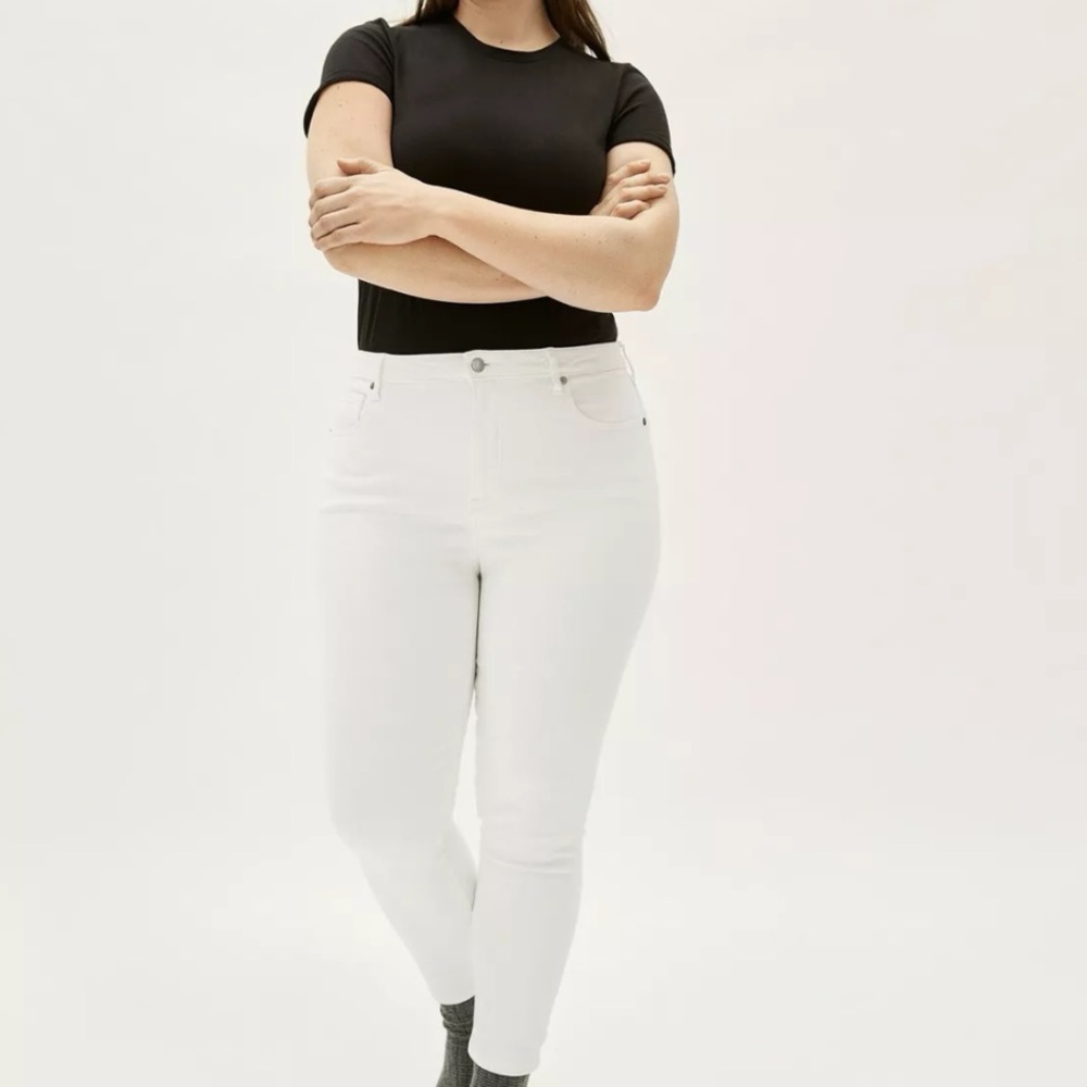 Everlane The Curvy High Rise Skinny Jeans